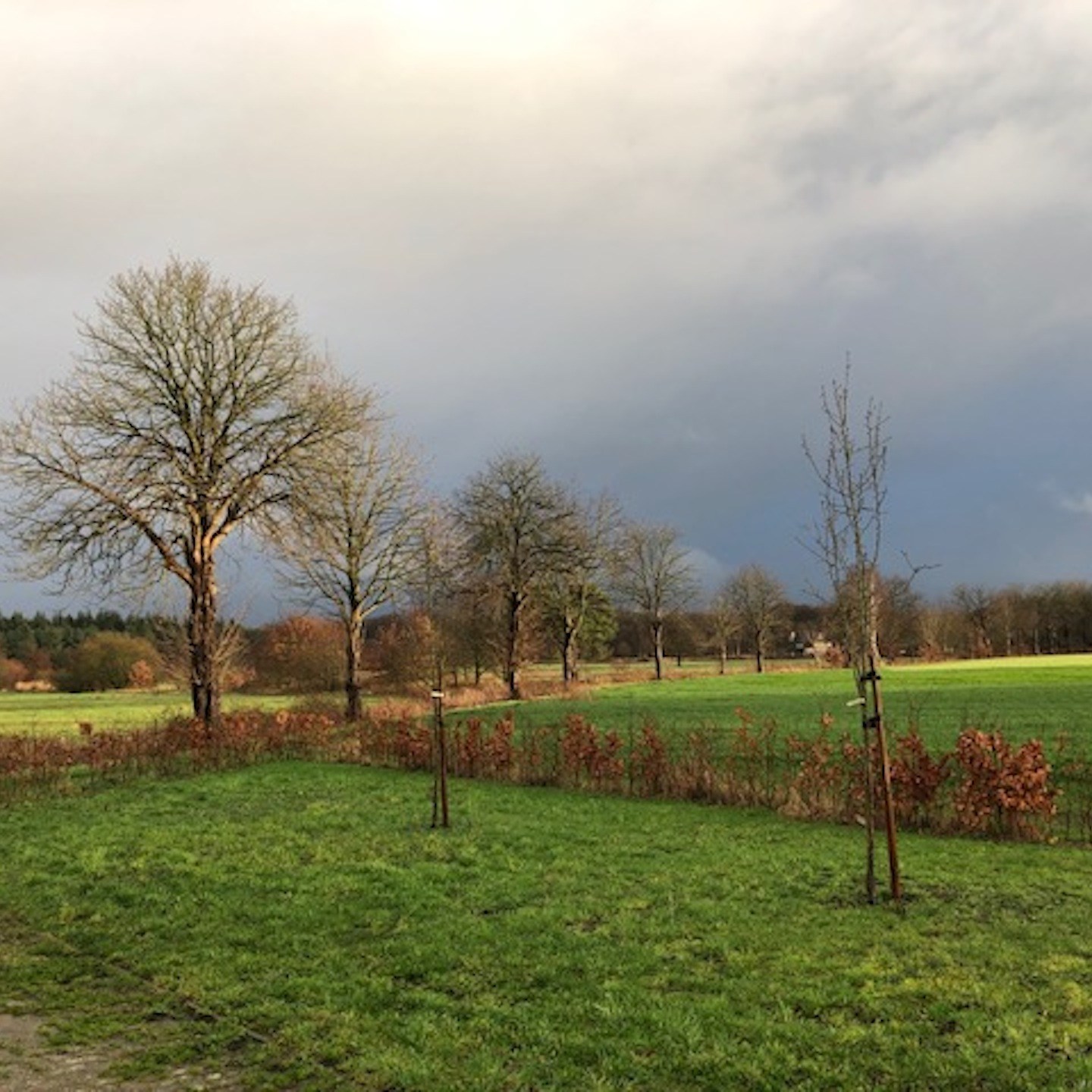 Het broekhuisje bed and breakfast Breda b en b B&B ulvenhout