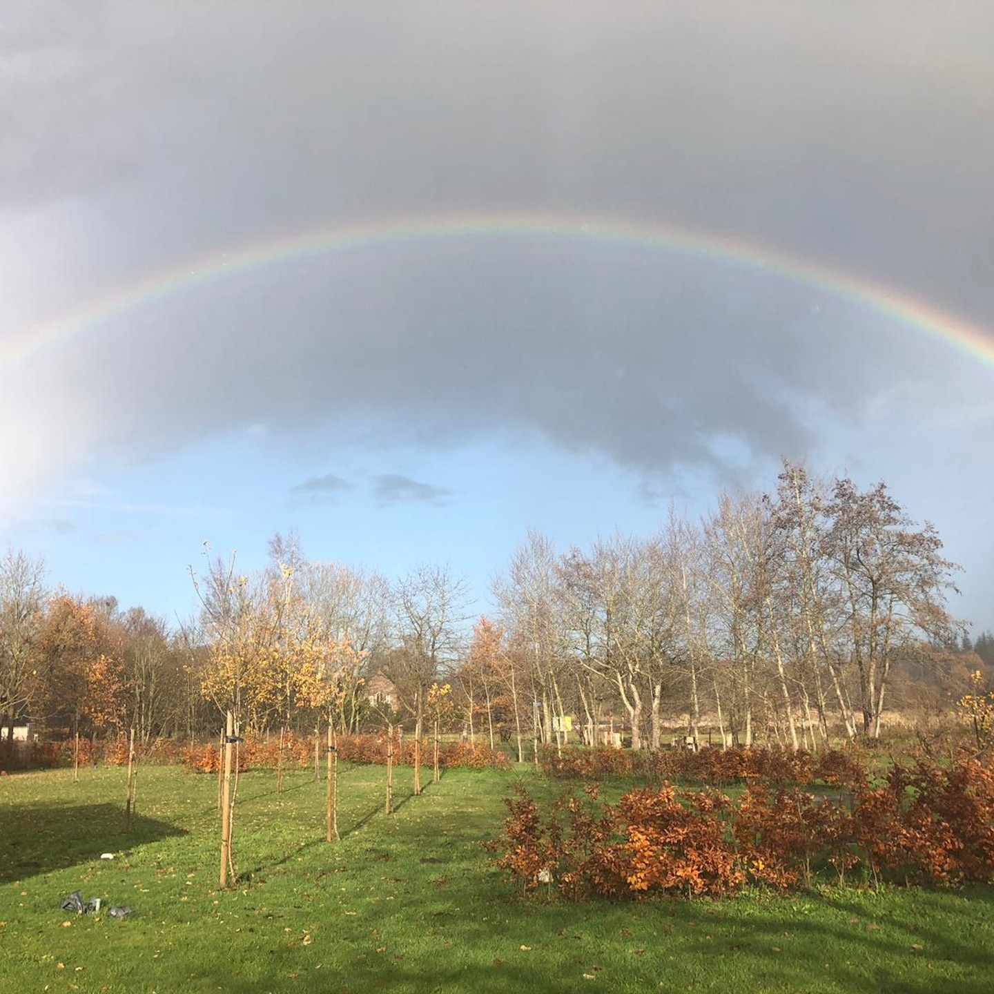 Het broekhuisje bed and breakfast Breda b en b B&B ulvenhout