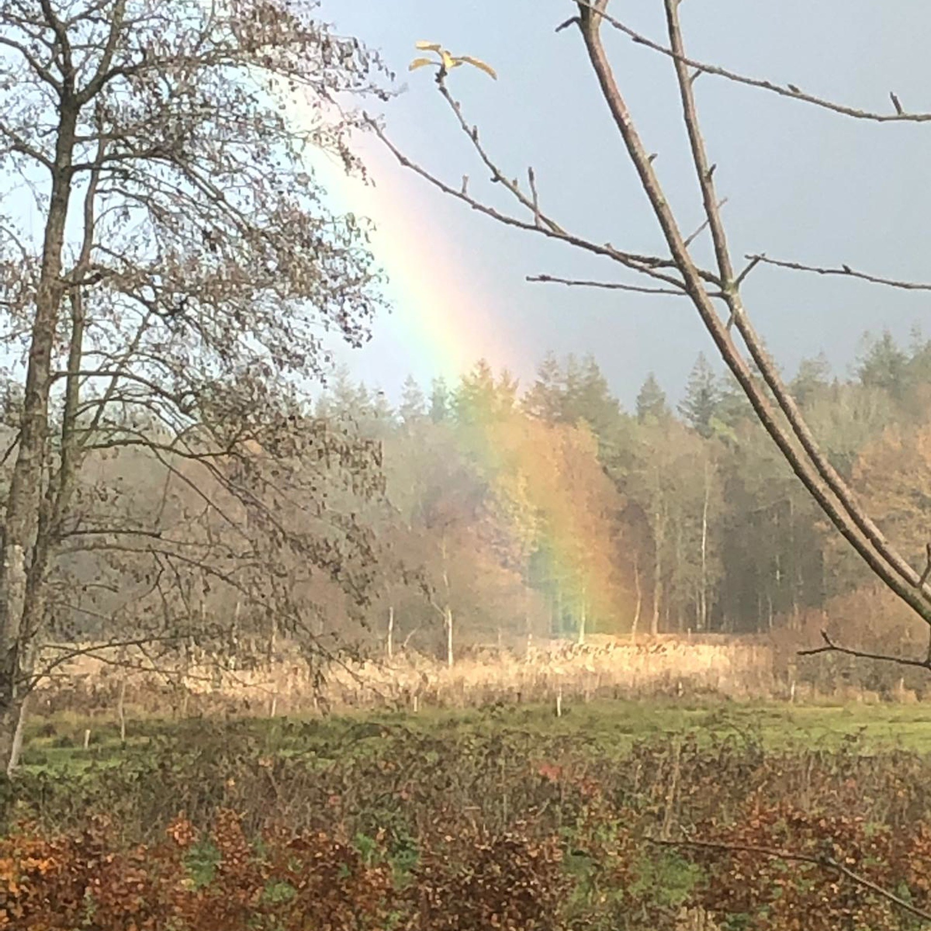 Het broekhuisje bed and breakfast Breda b en b B&B ulvenhout