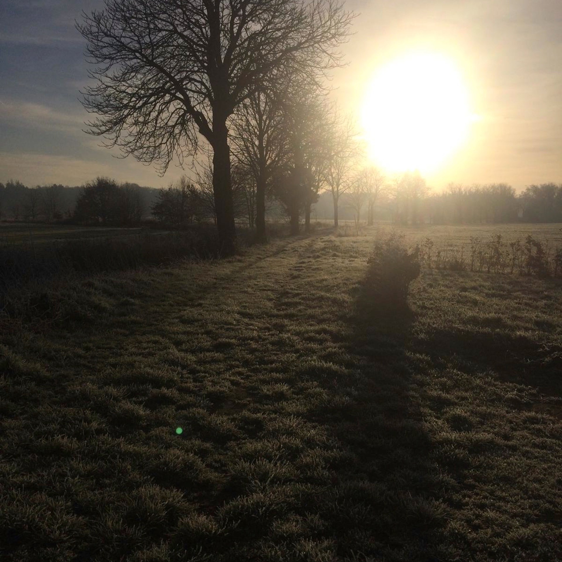 Het broekhuisje bed and breakfast Breda b en b B&B ulvenhout